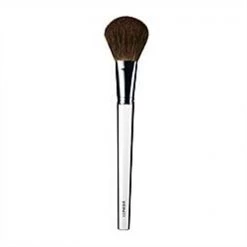 Clinique blush brush